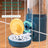 Hanging Automatic Small Pet Water Bottle and Feeder Combo for Rabbits and Hamsters