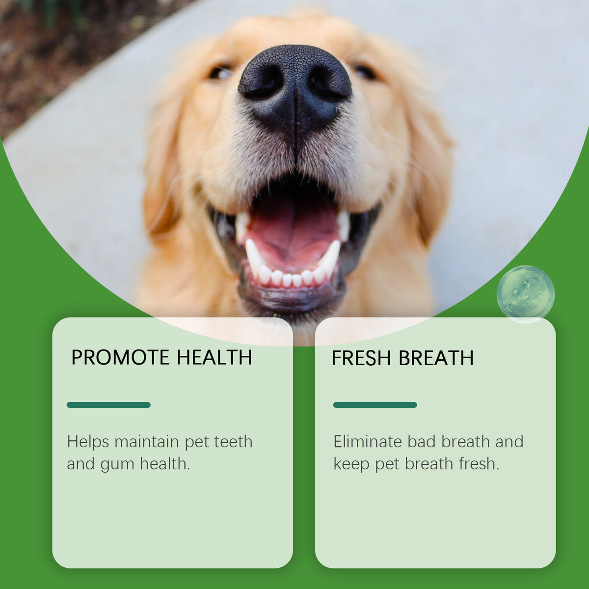 Dog Teeth Cleaning Powder for Plaque, Tartar and Fresh Breath