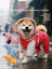 Four leg waterproof dog raincoat, available in 4 colours, sizes Small to 3XL, image 1