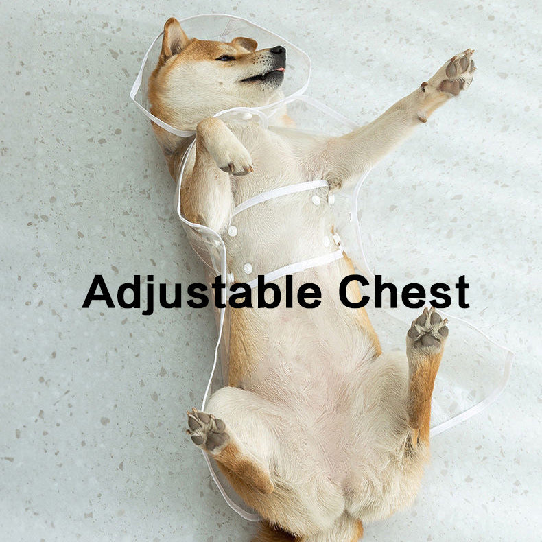 Clear dog rain poncho with coloured edging, available in 7 colours, image 2