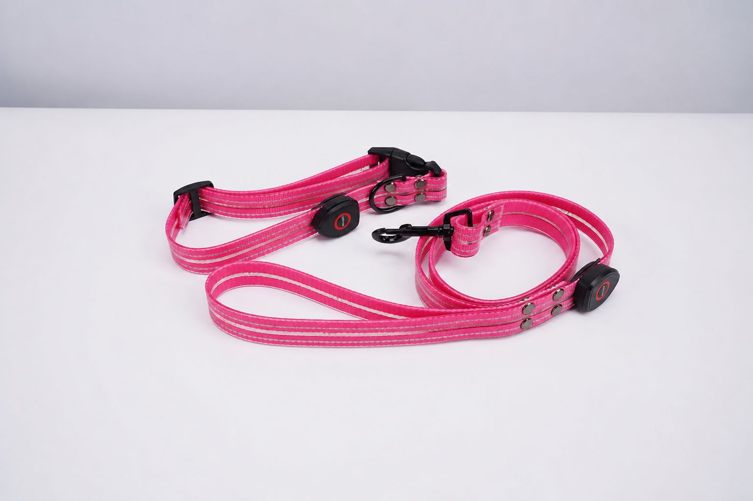 USB rechargeable LED dog collar in PVC, in use with a pet