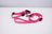 USB rechargeable LED dog collar in PVC, in use with a pet