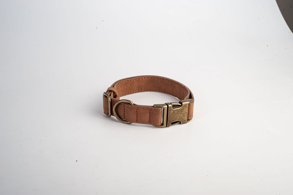 Soft leather dog collar with alloy buckle, product image 11
