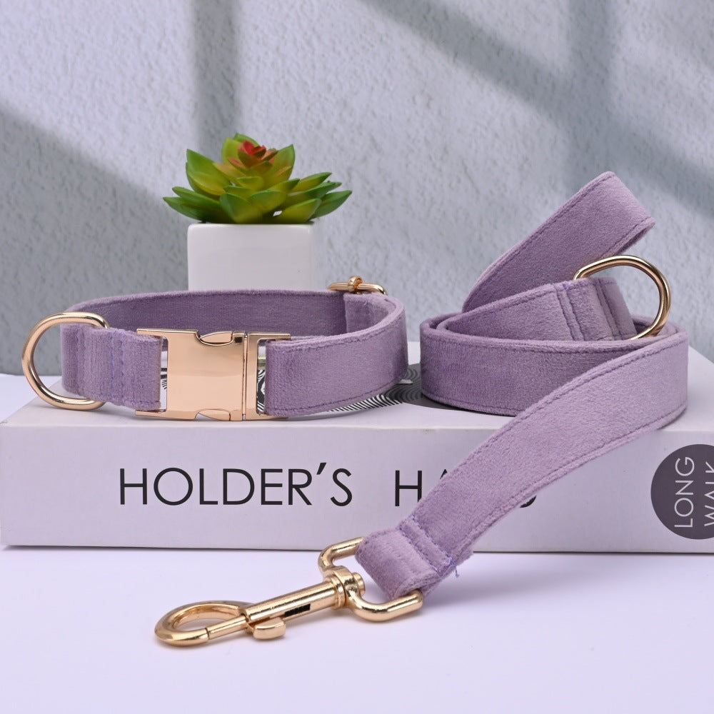 Soft velvet dog collar with metal buckle, 4 sizes available