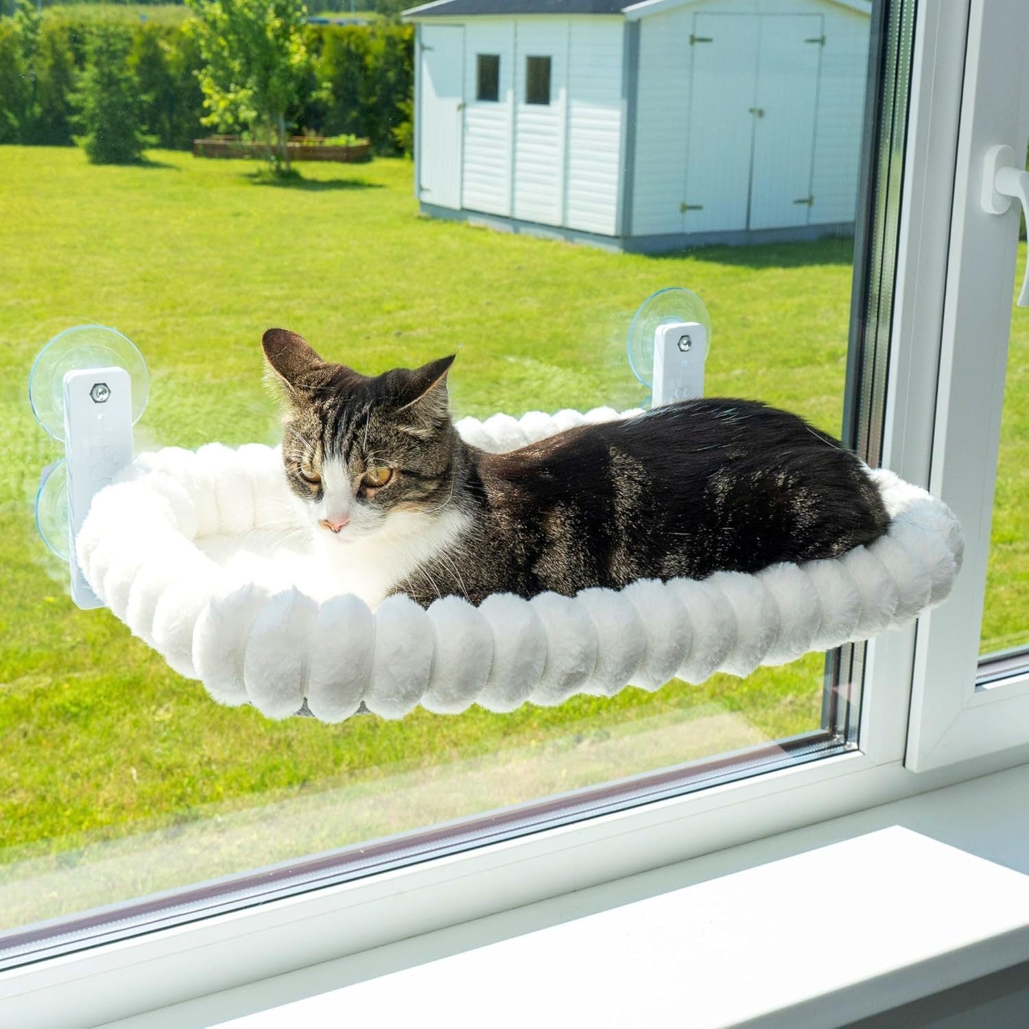 Glass-mounted cat window perch in the sun, alternative angle view