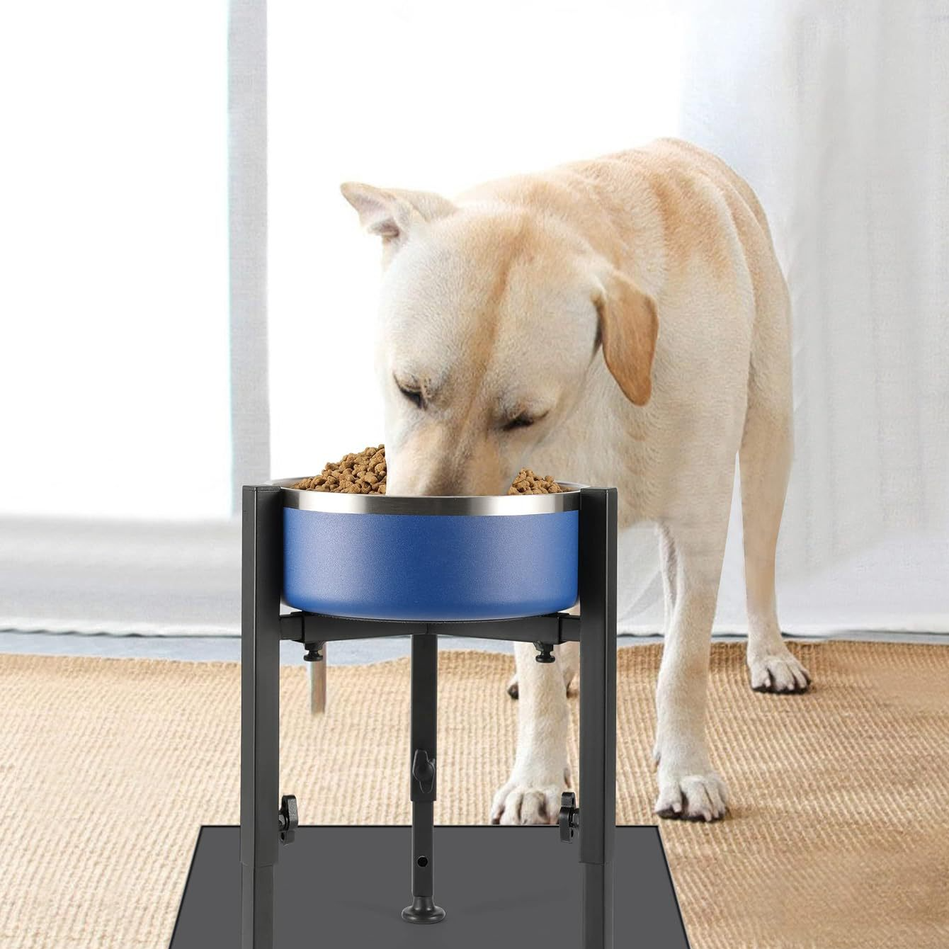 Adjustable Elevated Dog Bowl Stand with Single or Double Basin for Medium Dogs