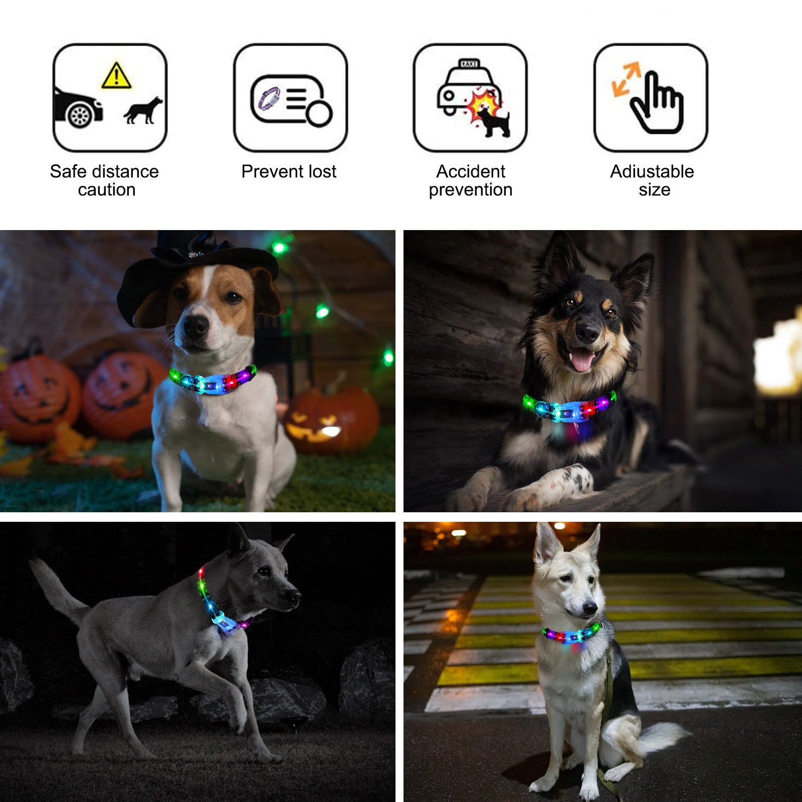 Patterned LED light up dog collar glowing pink at night