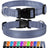Reflective nylon dog collar in 11 colour options