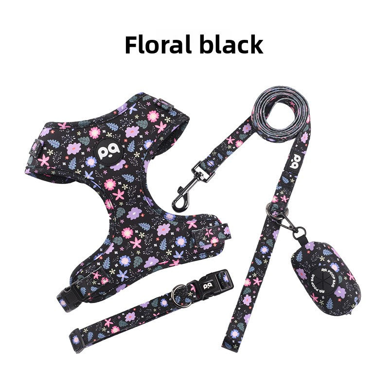 Patterned dog collar and lead set, available from Pet Royale UK