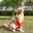 Breathable dog elbow sleeves in rainbow and owl prints