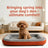 All-season warm pet bed and sofa cushion, full product photo