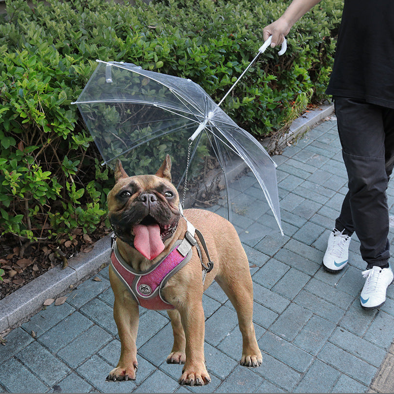 Clear dog umbrella with 70cm round canopy, product image 2
