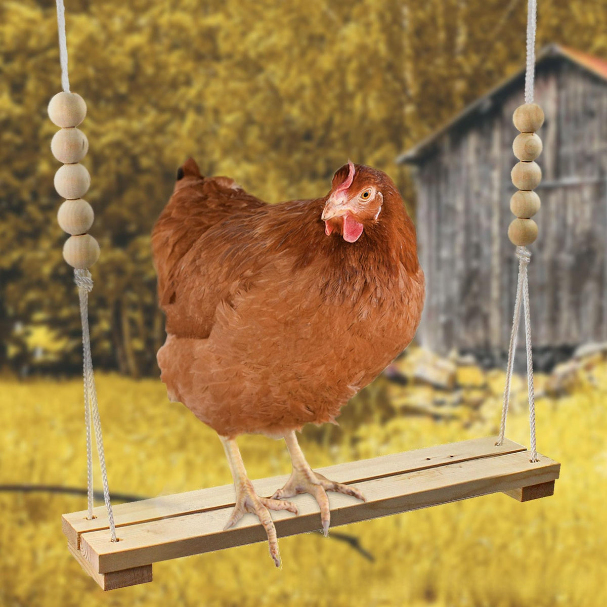 Natural wood bird and chicken swing and perch in 120cm Bridge, Snap Clip