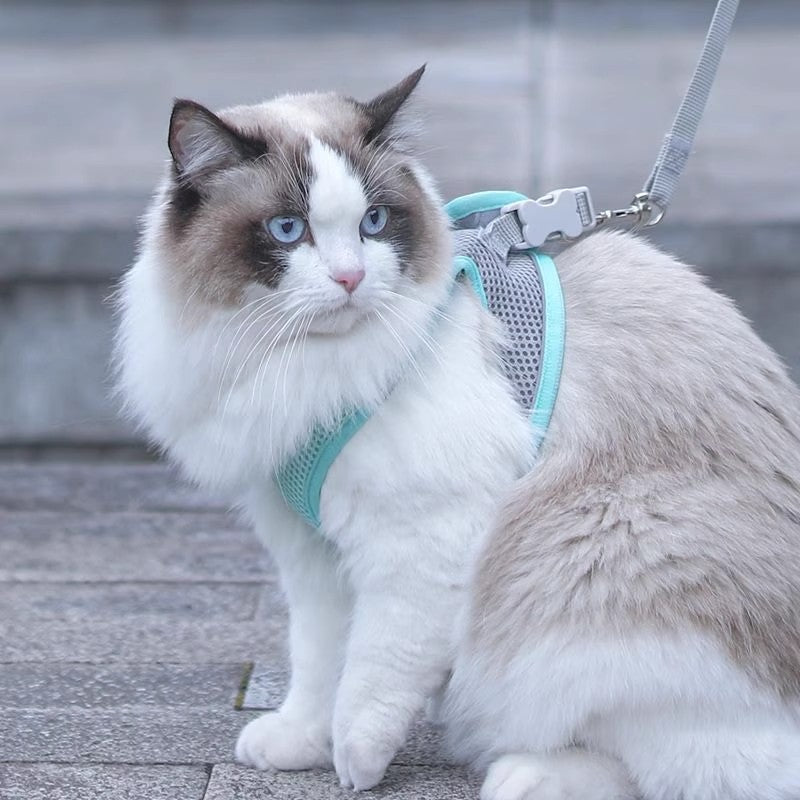 Breathable vest harness for cats and small dogs in 4 colour options