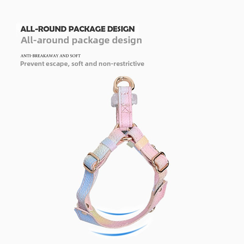 Rainbow pink harness and lead set on a small dog