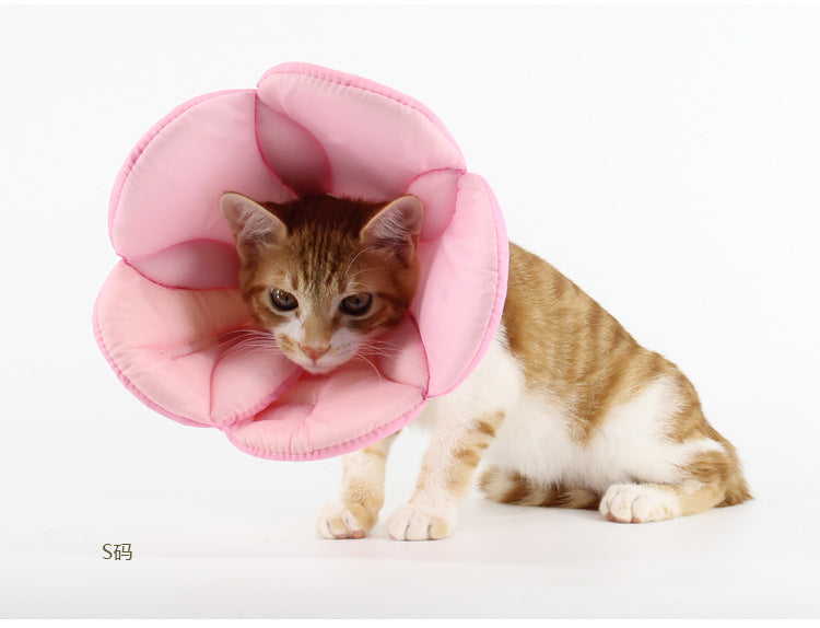Soft sponge pet recovery collar in rainbow colours on a cat