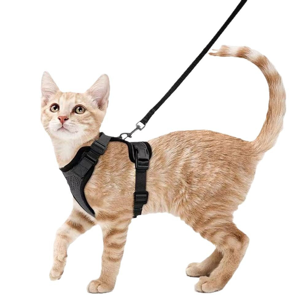Escape resistant cat vest harness and lead in sky blue