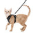 Escape resistant cat vest harness and lead in sky blue