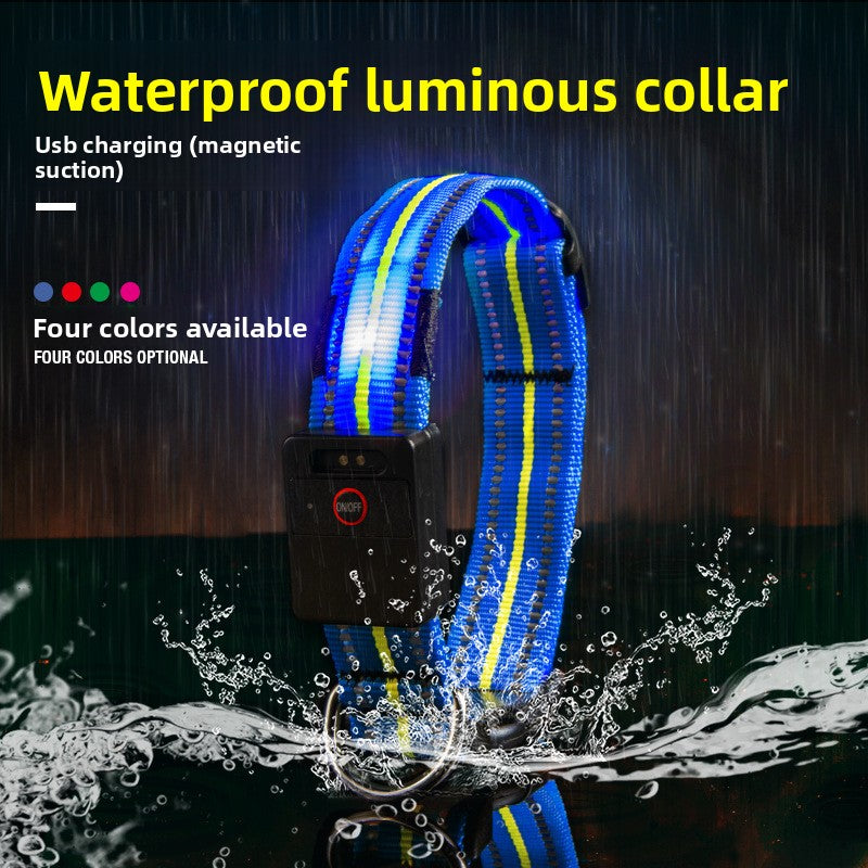 USB rechargeable light up dog collar in red, green and pink