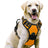 No-pull soft padded dog harness, main product photo