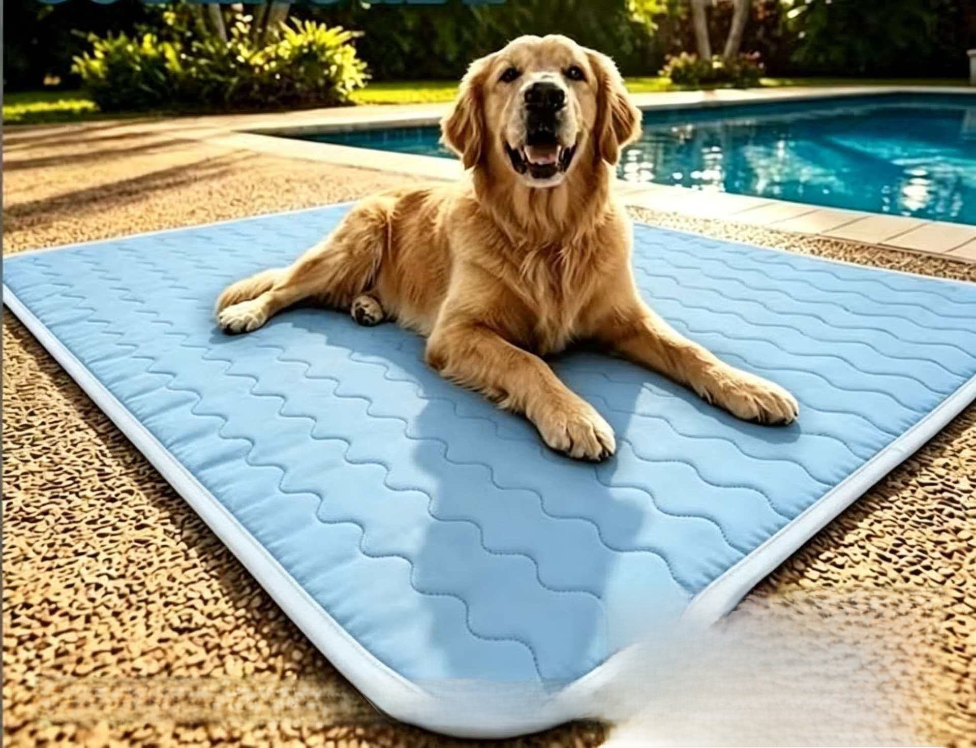 Dog resting on a checked blue cooling mat