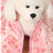 Flannel pet bed for cats and dogs, main product photo