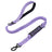 Stretchy bungee dog lead, available from Pet Royale UK