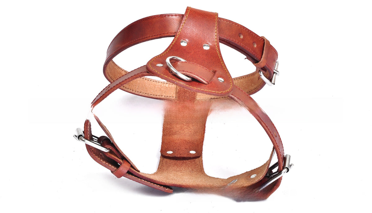 Brown leather dog chest harness with adjustable chest and neck straps, view 4