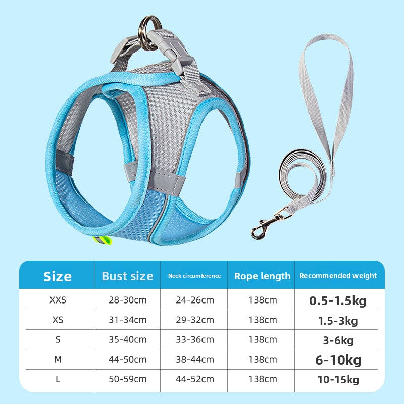 Two-tone padded harness and lead set, 5 sizes available