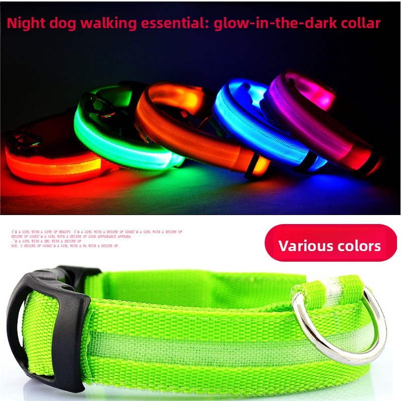 Light up pet collar with breakaway clasp glowing at night, product image 1