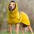 Polar fleece dog jumpers shown in seven colours