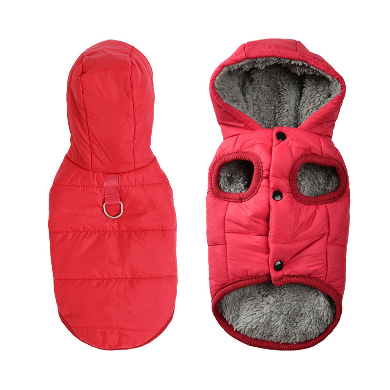 Small dog in a black hooded fleece lined vest jacket
