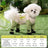 Four leg dog coverall with lead attachment, available in 2 colours, image 9