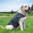 Cotton dog comfort pressure vest, available in 6 colours, image 3