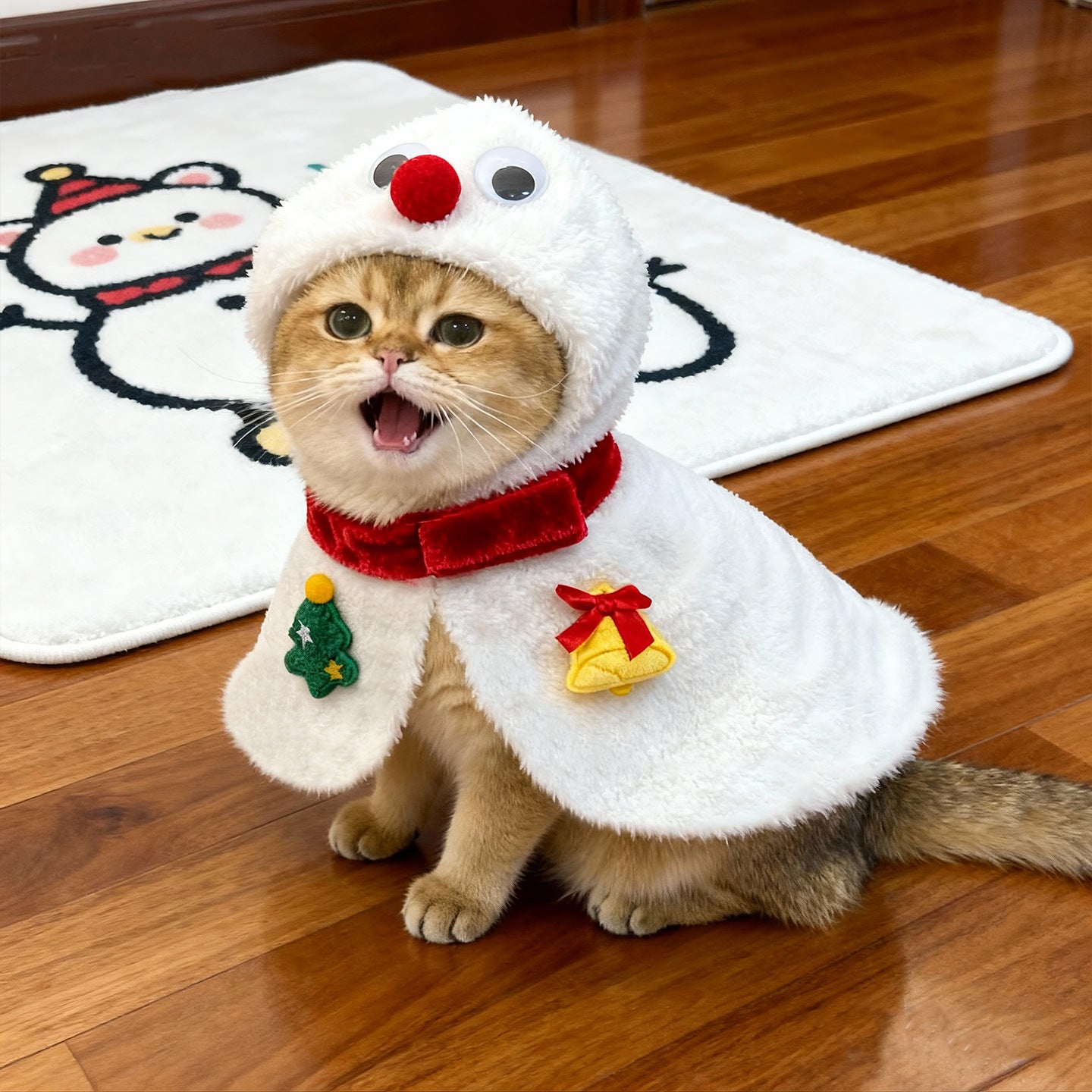 Cat dressed in a funny pumpkin head Halloween costume