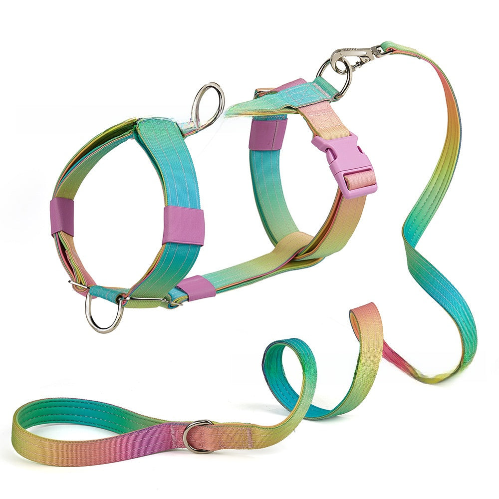 Gradient colour no pull dog harness with matching lead