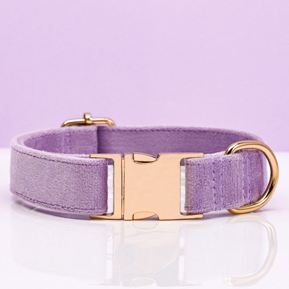 Soft velvet dog collar with metal buckle, available from Pet Royale UK