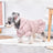 Floral bubble skirt flannel dog dress, available in 2 colours, image 15