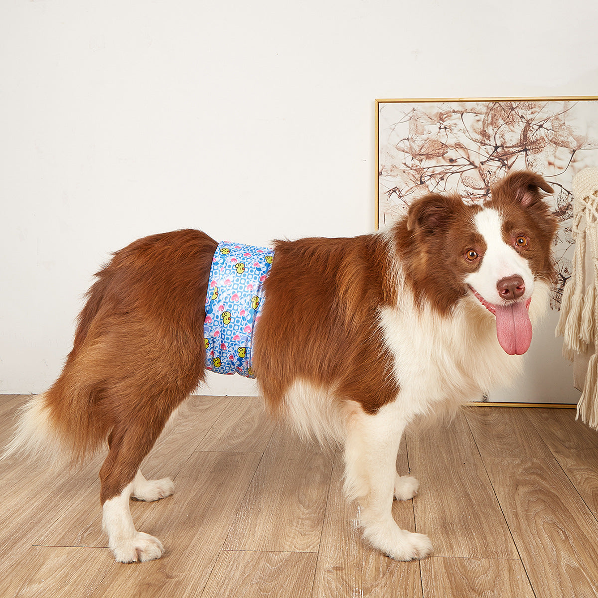 Washable dog diaper pants, available in 19 styles, image 3