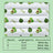 Oxford cloth gel pet cooling mat in Avocado, size Small 40 x 30cm