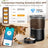 Automatic Cat Feeder
