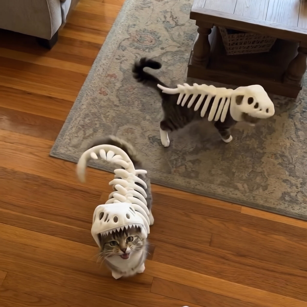 Dinosaur skeleton dog costume with headpiece, in Black and White, image 2
