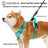 Reflective vest harness for large dogs, ideal for everyday use
