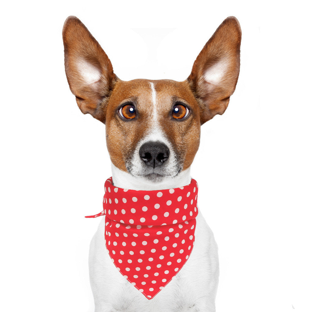 Double-sided dot cotton pet bib in Red Dot, front view