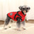 Padded cotton dog jacket with built-in lead vest in Black, close-up detail