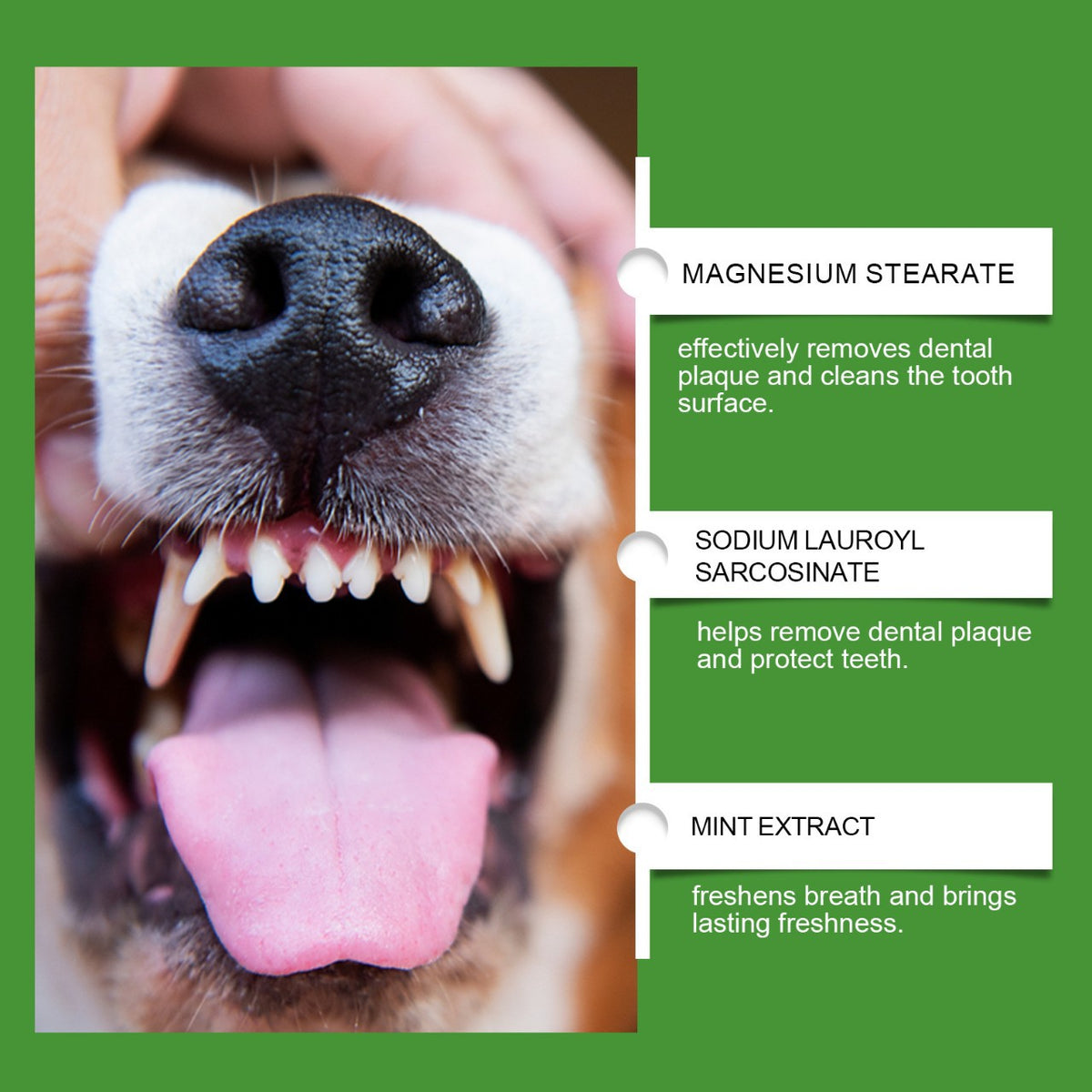 Dog Dental Powder for Plaque and Tartar, Gentle Daily Care
