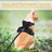 Breathable mesh reflective harness and lead set on a small cat