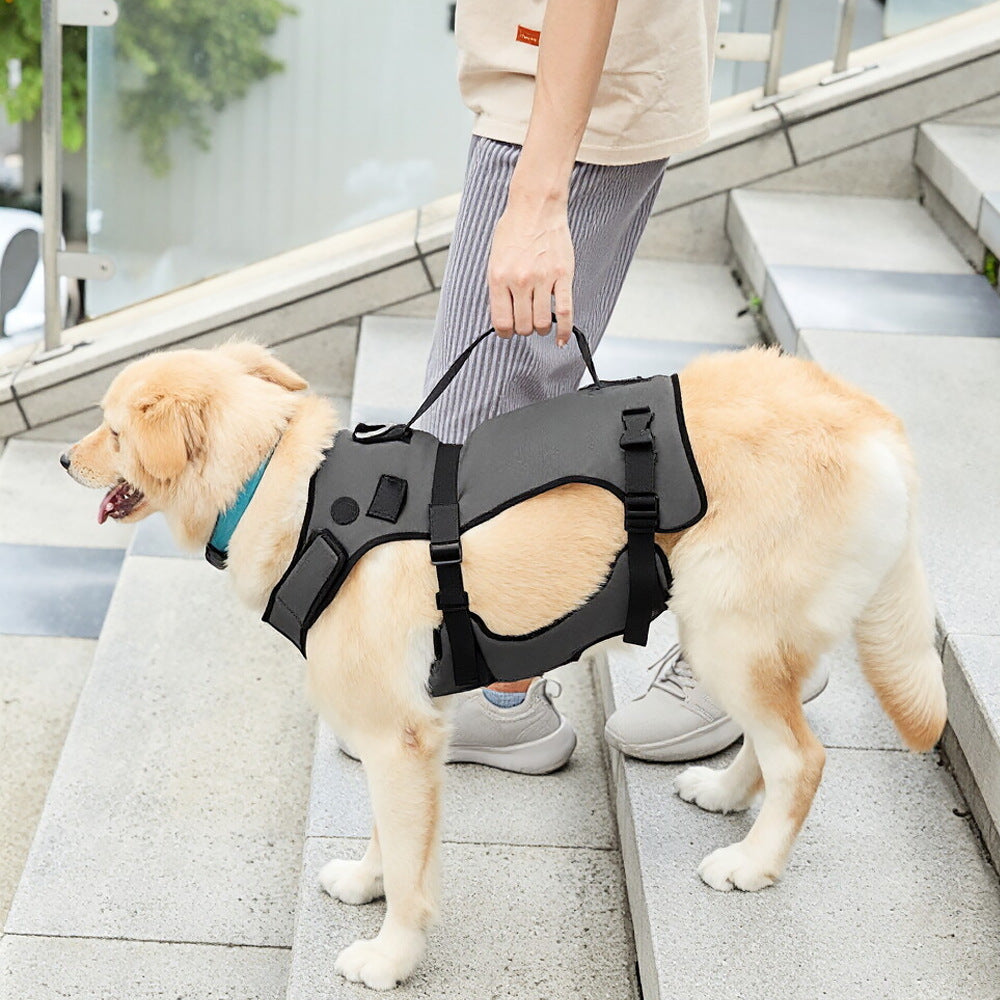 Royal blue full body support harness for senior large dogs, product image 2