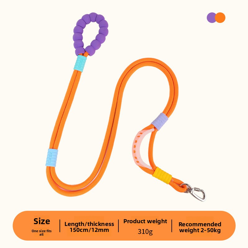 Bright nylon dog lead in vivid colour, product image 7