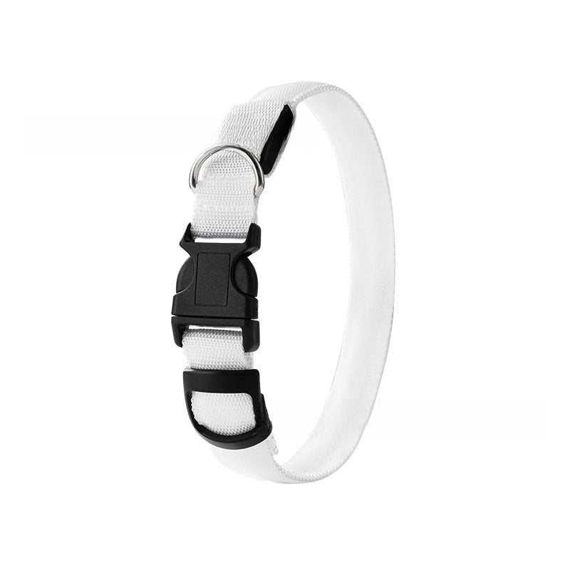 USB rechargeable LED dog collar glowing in bright colour, product image 9